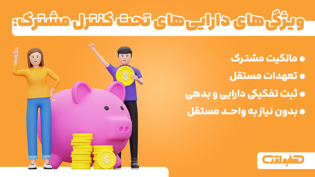 ویژگی های دارایی های تحت کنترل مشترک در استاندارد شماره 23 حسابداری